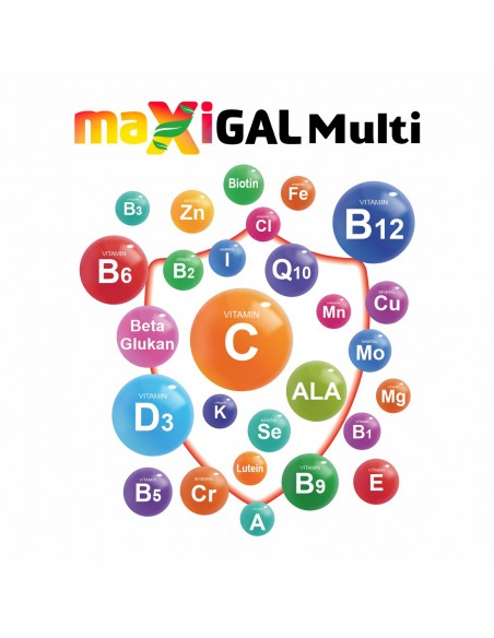 Maxigal Multivitamin Multimineral 30 Kapsül