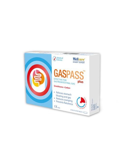 Wellcare Gaspass Plus 20 Tablet