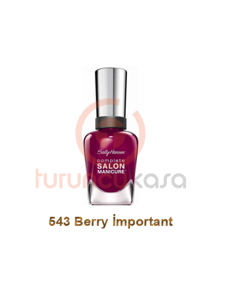 Sally Hansen Complete Salon Manicure Oje 543 Berry İmportant