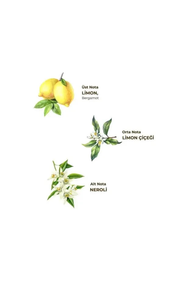 Eyüp Sabri Tuncer Klasik Limon Kolonyası 50 ml - Pet Şişe