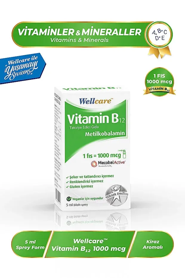 Wellcare Vitamin B12 1000 Mcg 5 ml