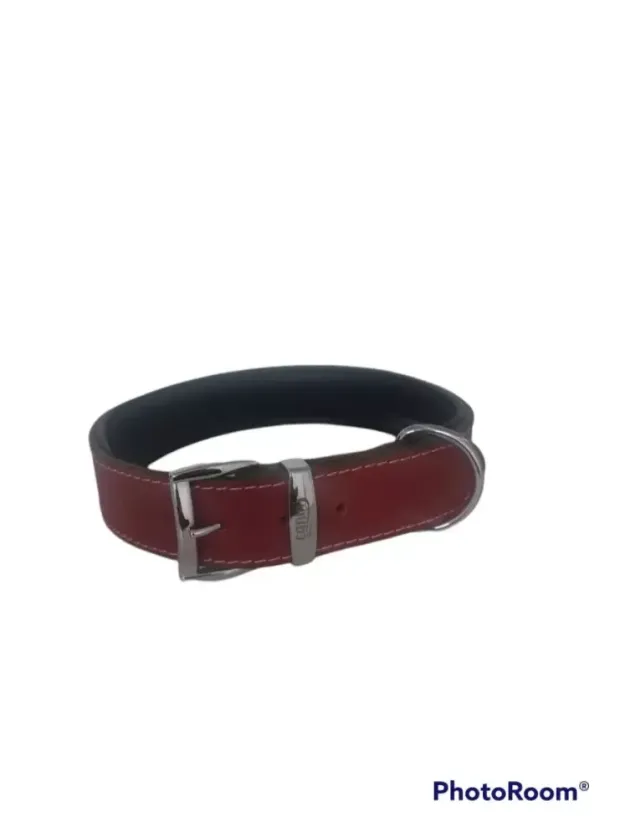 Daisy Klasik Deri Köpek Tasması XL-4cm Kırmızı