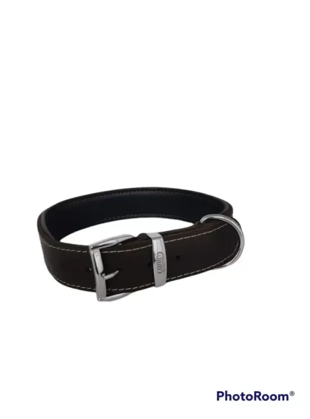 Daisy Klasik Deri Köpek Tasması XL-4cm Kahve