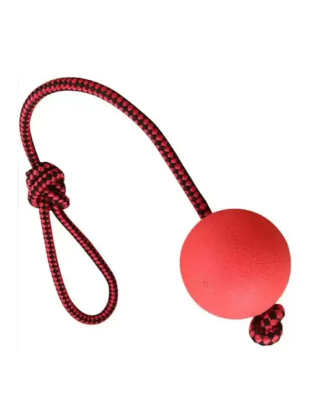 Nunbell Köpek Oyun. Sert Top 155gr
