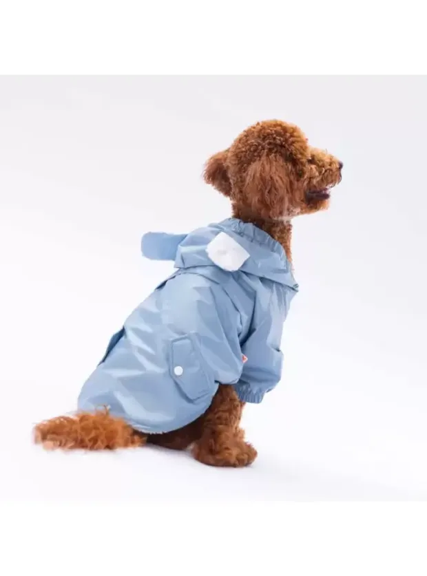 Paw Star 24506 Gri Sydney Yağmurluk