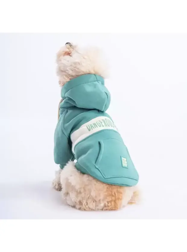 Paw Star 23707 Yeşil Cute Hoodie