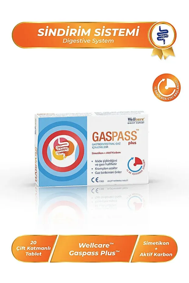 Wellcare Gaspass Plus 20 Tablet