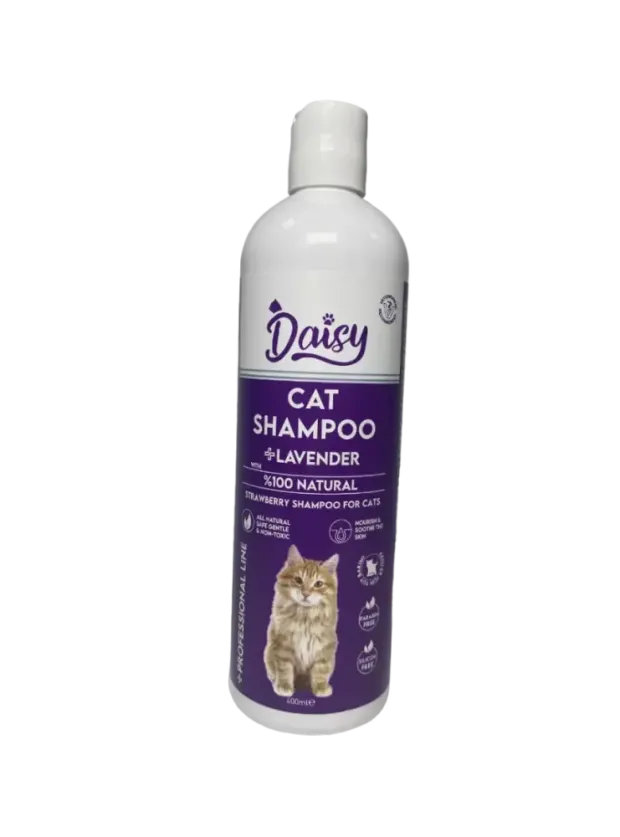 Daisy Lavantalı Kedi Şampuanı 400 ml