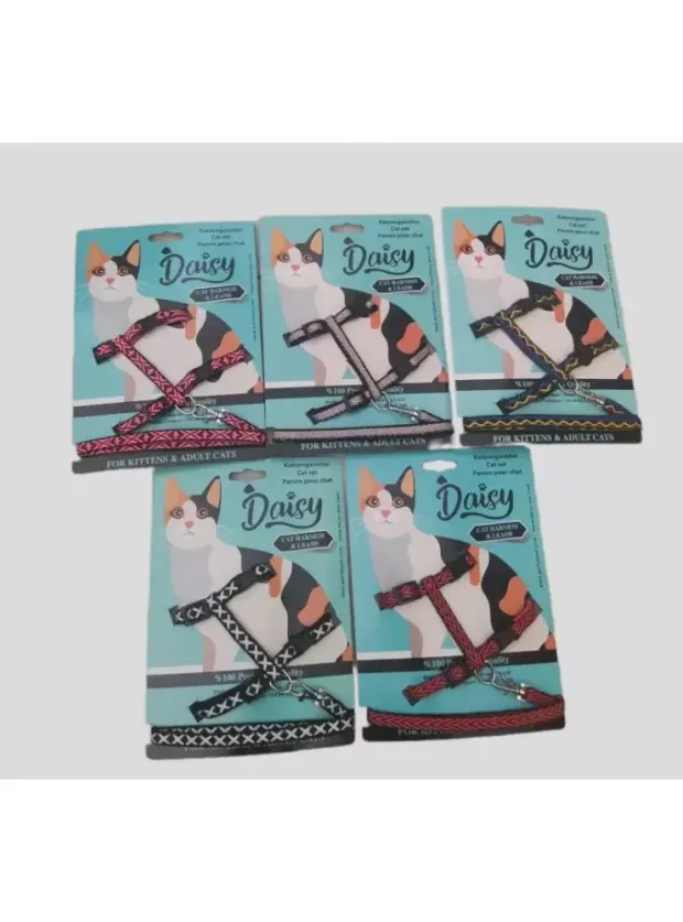 Daisy Kedi Takım Bel Tasması