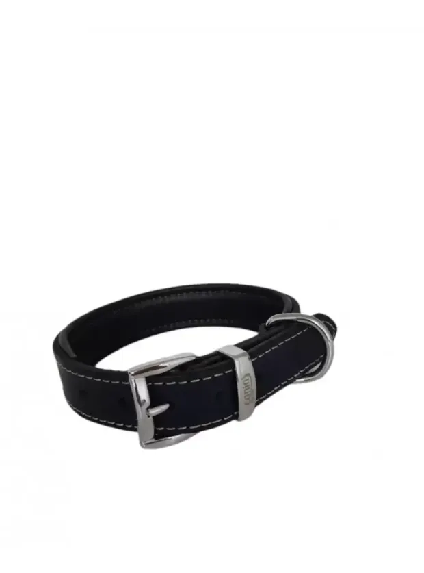 Daisy Yağlı Deri Köpek Tasması S-2|5cm Lacivert
