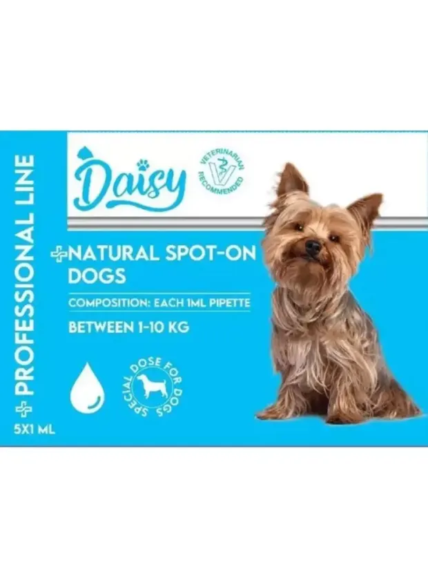 Daisy Köpek Ense Damlası (1-10 kg) 5*1 ml