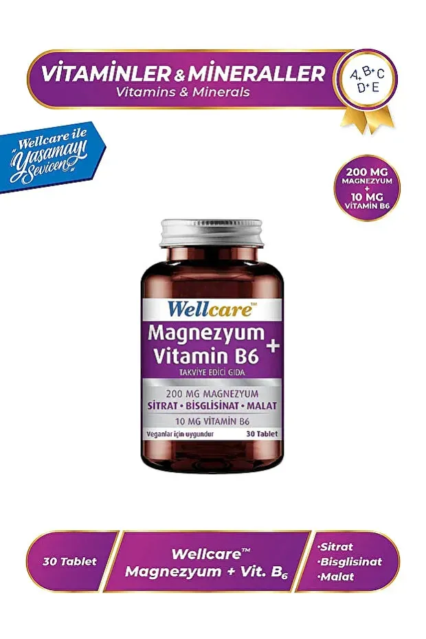 Wellcare Magnezyum + Vitamin B6 30 Tablet