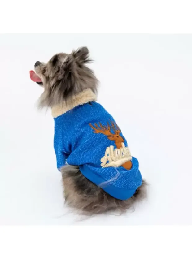 Paw Star 24708 Sax Mavi Alaska Sweat