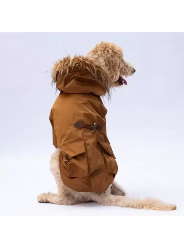 Paw Star 24559 Camel Charles Büyük Irk Yağmurluk