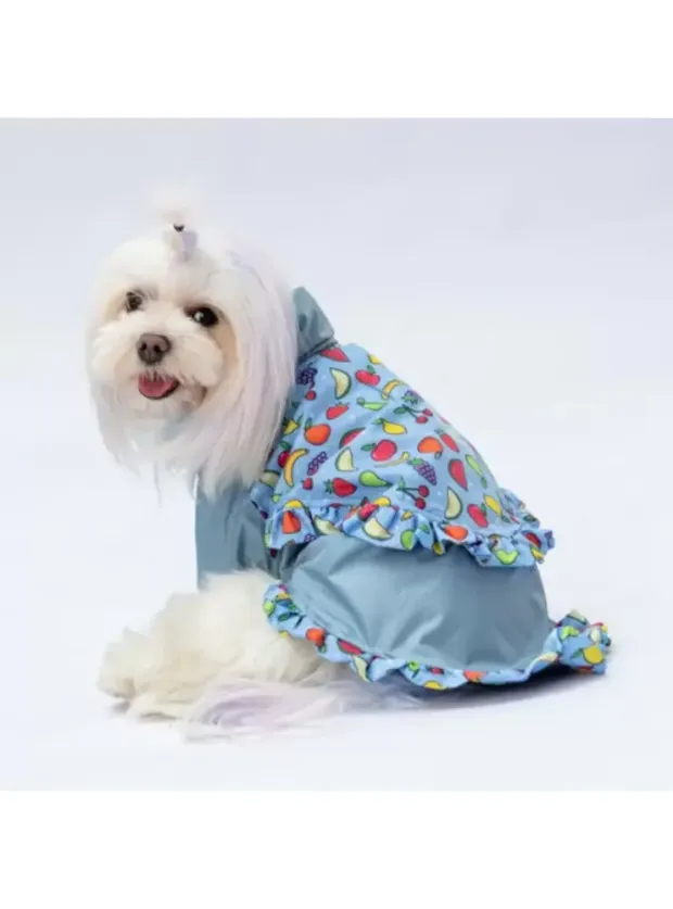 Paw Star 24514 Gri Victoria Yağmurluk