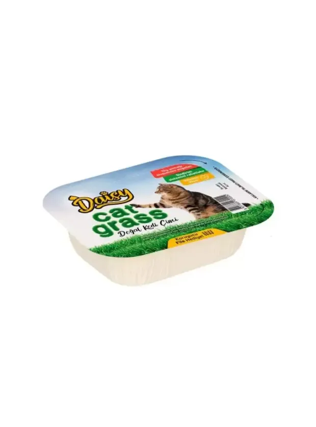 Daisy Natural Kedi Çimi File Hediyeli !