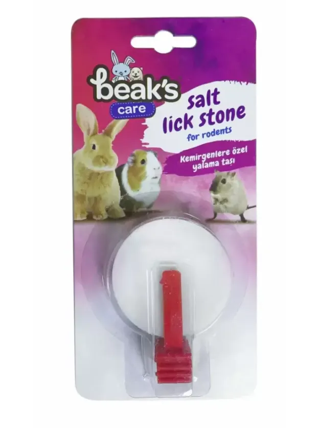 BEAKS Yalama Taşı